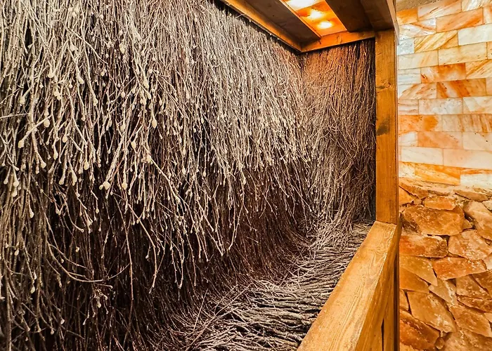 Sandy 3 Sanddunes Sauna Grota Solna Silownia